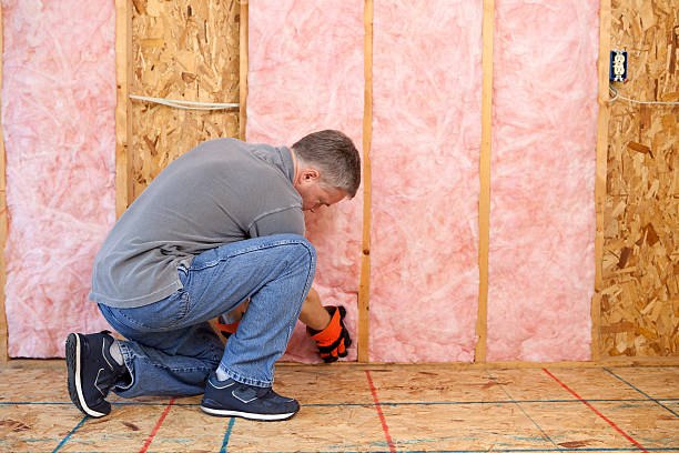 Best Residential Insulation in Thunder Mountain, NM