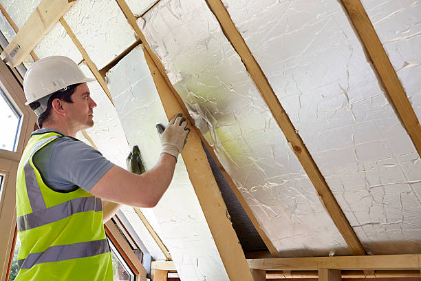 Best Insulation Materials and Products in Thunder Mountain, NM