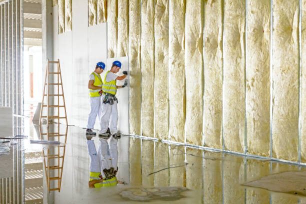 Best Specialty Insulation in Thunder Mountain, NM